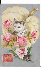 Antique cat kitten for sale  HEREFORD