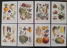 Lot menus air d'occasion  Les Rosiers-sur-Loire