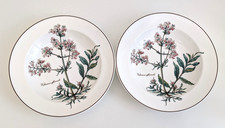 Villeroy boch soup for sale  Sun Prairie