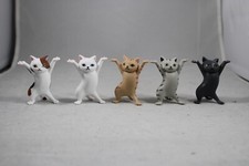 Dancing kittens cats for sale  Seattle