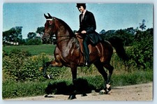 Uvm kathy champion for sale  Terre Haute