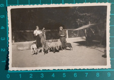 Donne contadine recinto usato Donne contadine recinto usato  Pistoia