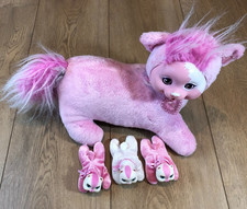 Kitty surprise 2015 for sale  Coarsegold
