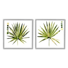 Spiky aloe palm for sale  Knoxville