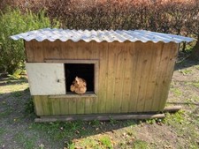 Chicken coop for sale  WARMINSTER
