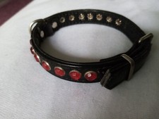Hunde halsband leder gebraucht kaufen  Lauf a.d.Pegnitz