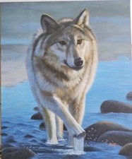Lone wolf andy. for sale  Vallejo