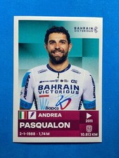 Figurine panini sticker usato  Italia