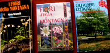 Fiori montagna alberi usato  Reggio Calabria