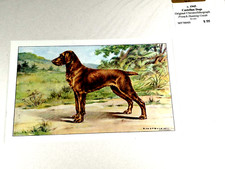 Vintage original chromolithogr for sale  Cobleskill