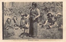 Argentina araucana soltera d'occasion  France