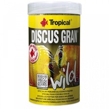 Tropical discus gran usato  Terlizzi