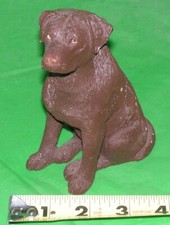 chocolate lab for sale chocolate lab for sale Frazier Park