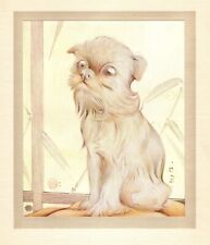 Antique brussels griffon for sale  Harborton