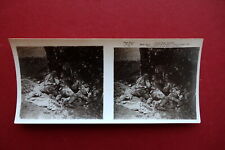 Fotografia stereoscopica ww1 usato  Italia