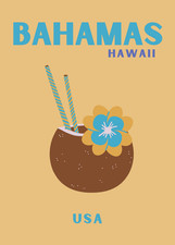 Bahamas hawaii tropical for sale  USA