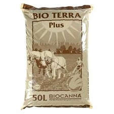 Canna bio terra usato  Roma