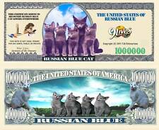 Russian blue cat for sale  Oakley