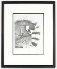 Gary hodges dreamtime for sale  CHERTSEY