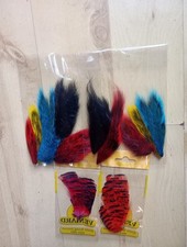 Veniard golden pheasant for sale  WELLINGBOROUGH