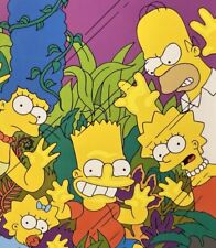 Serie completa simpson usato  Reggio Emilia