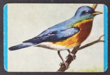 Bluebird 1957 quaker for sale  Reading