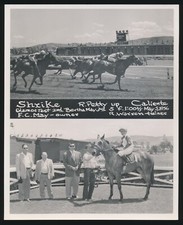 Vintage 1956 horse for sale  Petaluma