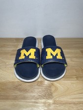 Nike michigan wolverines for sale  Auburn