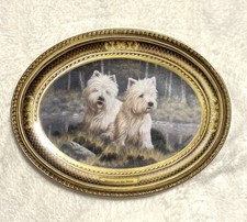 Westies moor west for sale  Chester