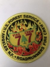 California fire forest for sale  USA