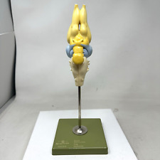 Somso frog brain for sale  Gilbert