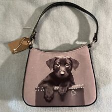 Best friends labrador for sale  PETERHEAD