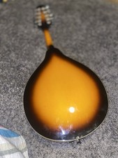 Johnson mandolin model for sale  Sycamore