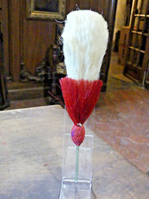 Beau plumet aigrette d'occasion  Morestel