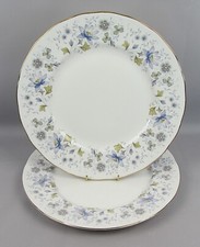 Colclough rhapsody blue for sale  YORK
