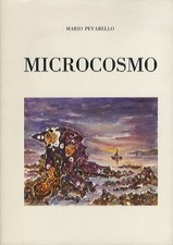 Microcosmo curriculum vitae usato  Italia