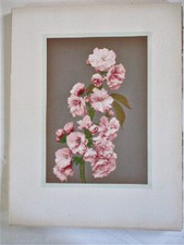 Vintage print pink for sale  Belfast