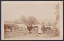 Antique rppc people for sale  NEATH