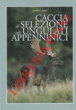 Fabbri massimo caccia usato  Italia