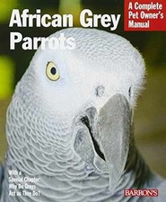 African grey parrots for sale  Philadelphia