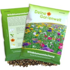 Wildblumenmischung 100 samen gebraucht kaufen  Pulheim