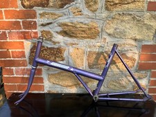 Raleigh twenty frame for sale  NEWQUAY
