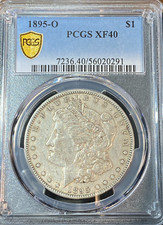 1895 morgan dollar for sale  Florence