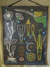 Ancienne affiche scolaire d'occasion  Rupt-sur-Moselle