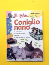 Mio coniglio nano usato  Montevarchi