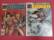 The savage sword gebraucht kaufen  Cloppenburg