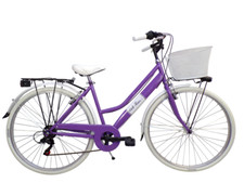 Cicli tessari bicicletta usato  Due Carrare
