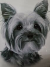 Yorkshire terrier yorki gebraucht kaufen  Wedemark
