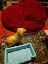 Barbie newborn pups for sale  NOTTINGHAM