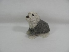 Old english sheep for sale  Corpus Christi